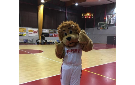 JOURS DE MATCHS W-E 14/15 janvier